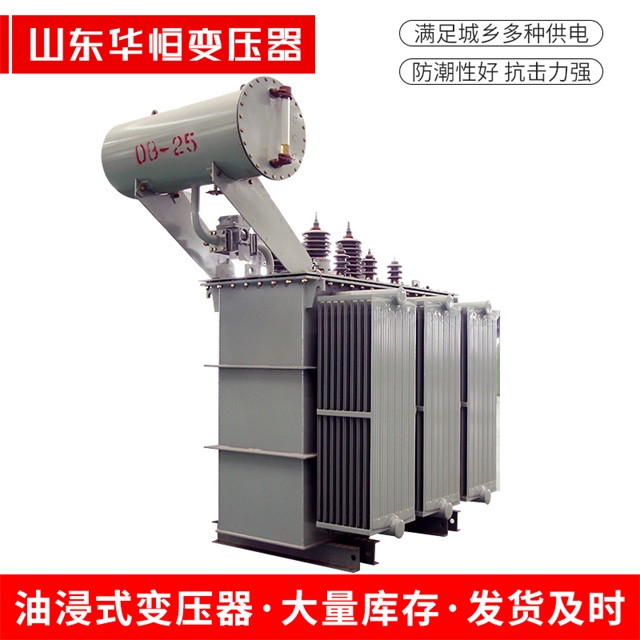 S11-10000/35揭西揭西揭西电力变压器厂家