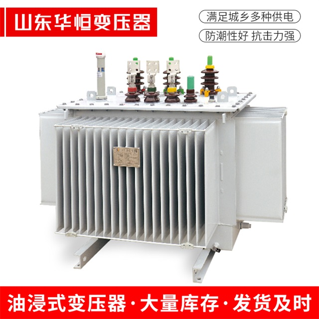 S13-10000/35揭西揭西揭西电力变压器