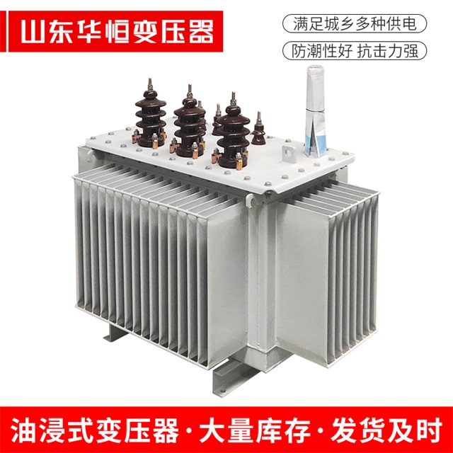 S13-10000/35揭西揭西揭西油浸式变压器厂家